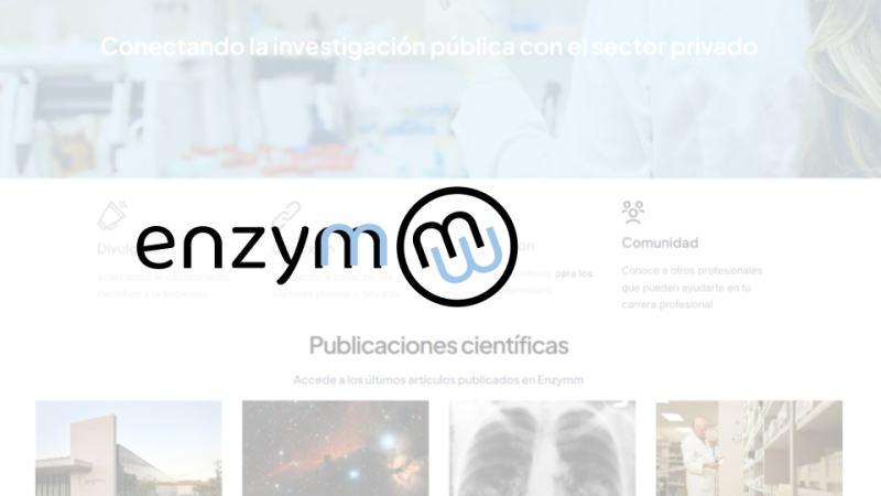 preview de la página web enzymm.com con el logo de enzymm